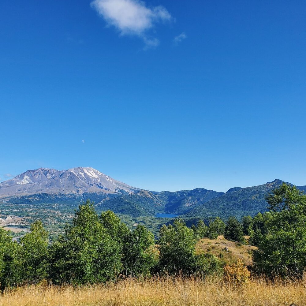 Meet your Posher, Skye